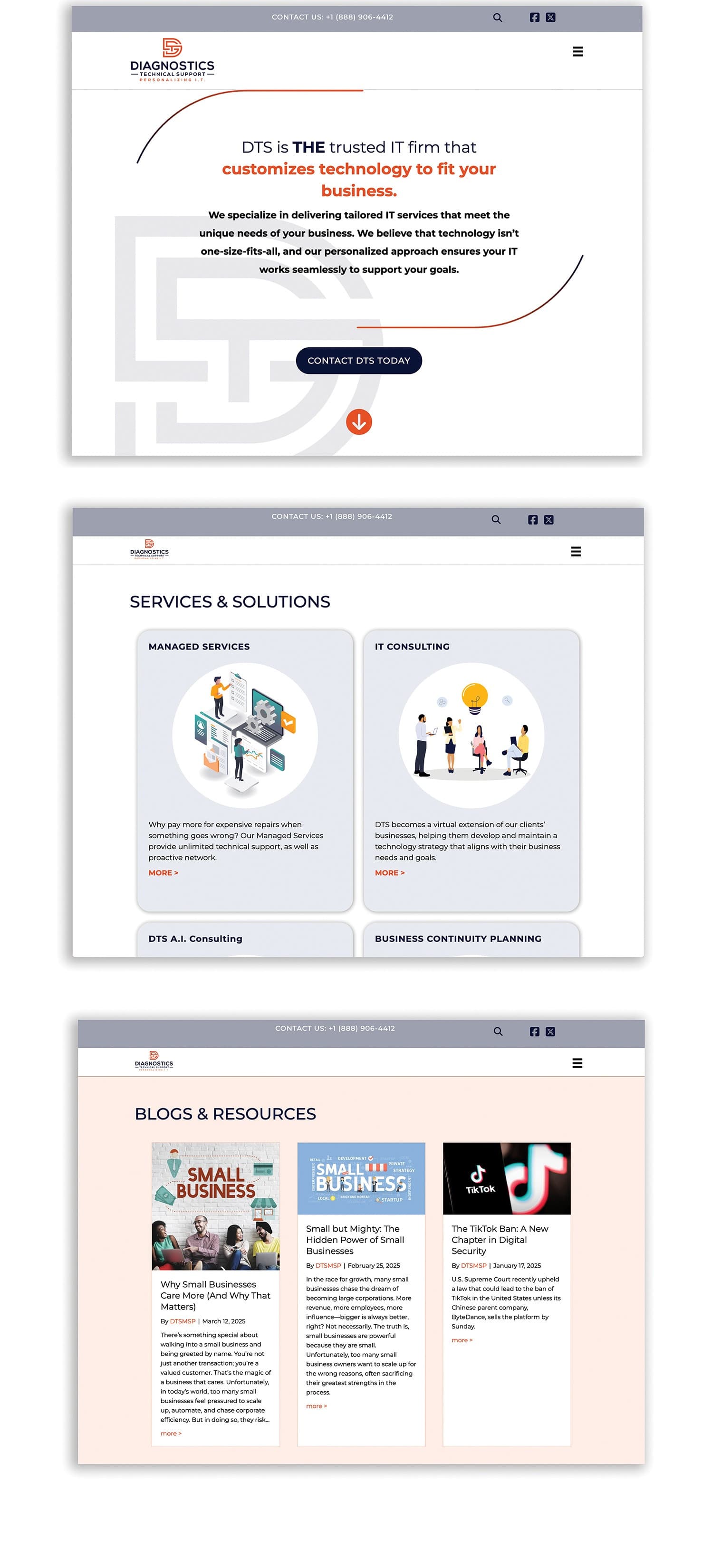 Diagnostics Technical Support LLC Website
