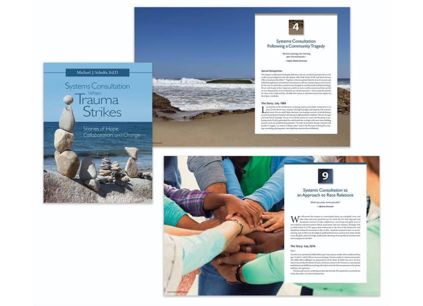 Systems Consultation When Trauma Strikes: Stories of Hope, Collaboration, and Change