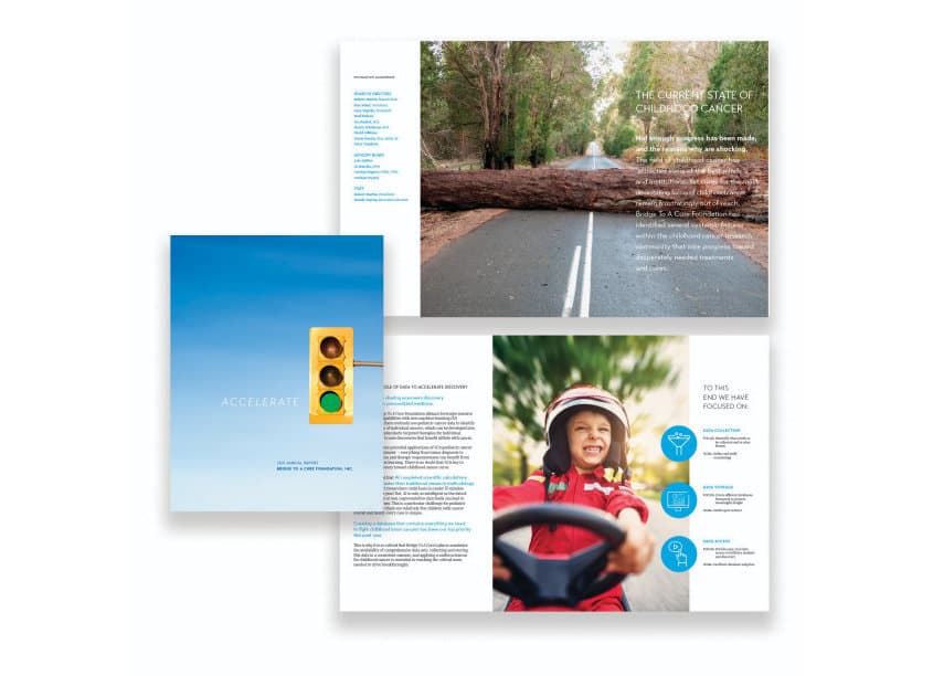 Bridge To A Cure 2021 Annual Report – Accelerate