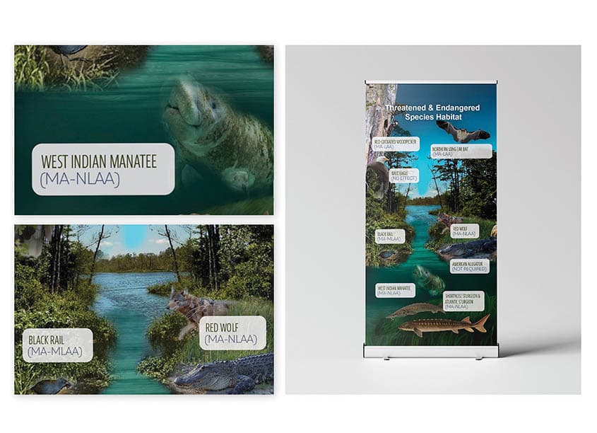 Threatened and Endangered Species Habitat Graphic