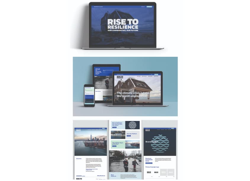 Rise to Risilience Website