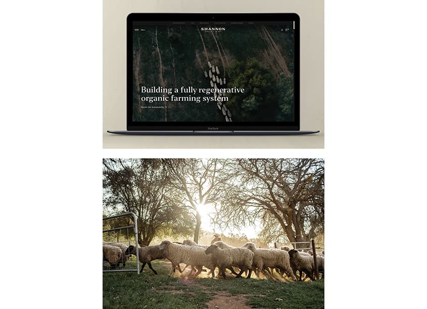 Website Refresh