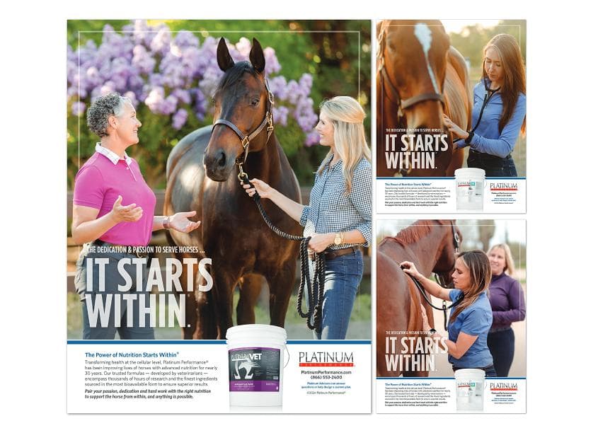 Platinum Veterinary It Starts Within Ad Series — Health & Wellness design — by HB Design — 2024 GDUSA award entry