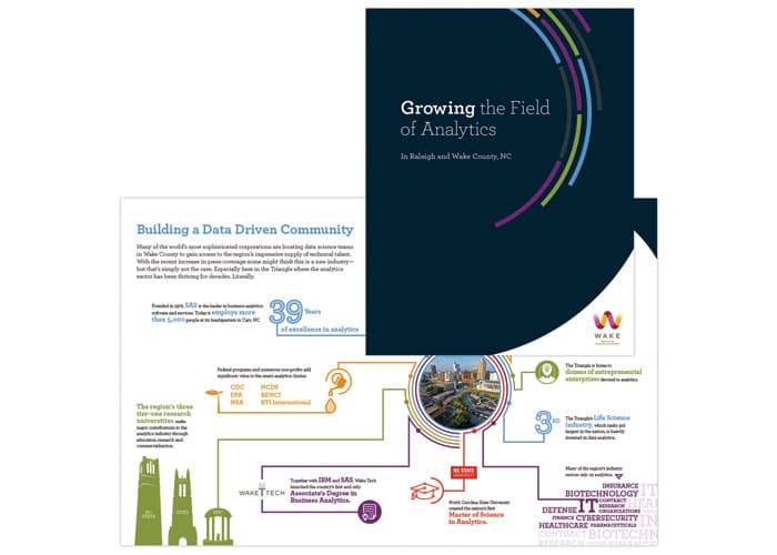 Analytics Industry Brochure