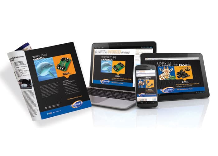 TechSmart Evolution of Parts Print and Digital Ad Campaign