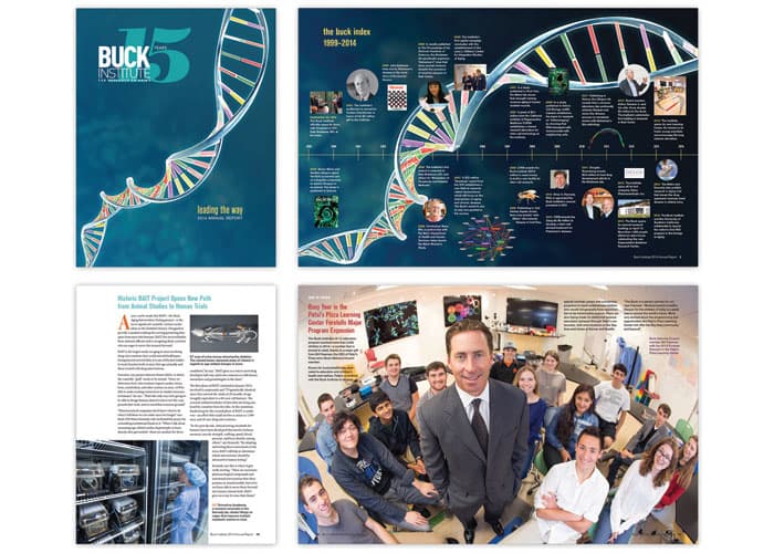 Leading The Way: 2014 Annual Report