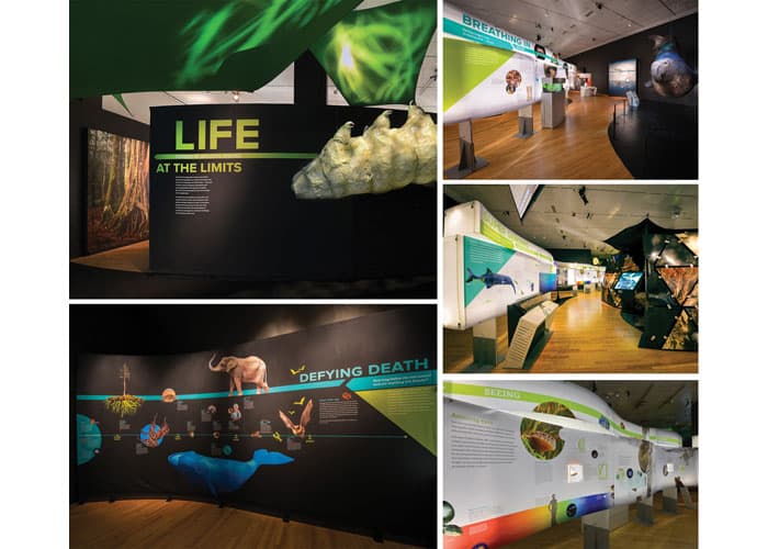 Life at the Limits: Stories of Amazing Species