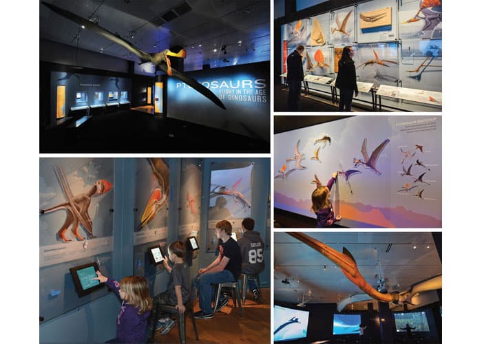 Pterosaurs: Flight in the Age of Dinosaurs