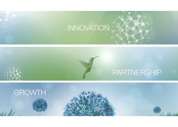 Sibos Booth Loop