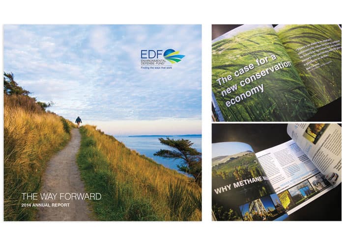 EDF Annual Report 2015