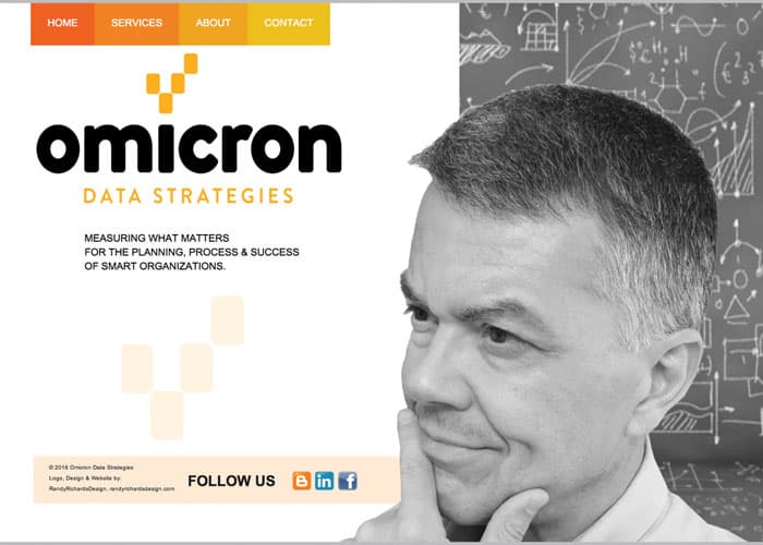 Omicron Data Strategies Website