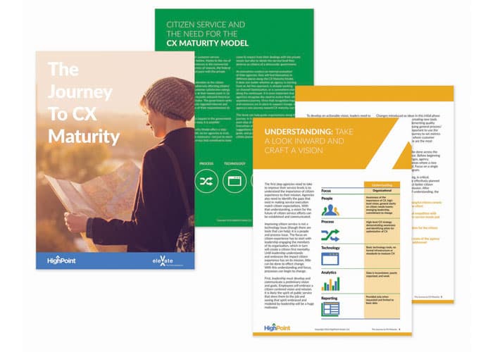 The Journey to CX Maturity