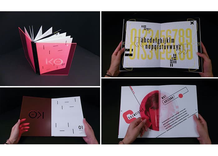 Knockout Experimental Publication