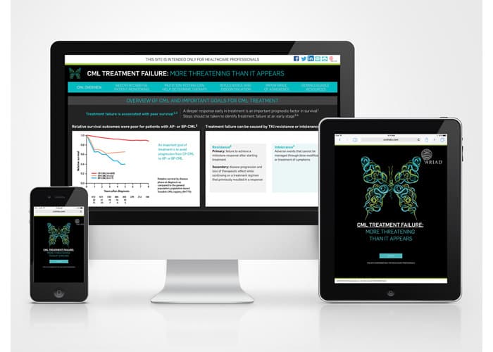 CML Risks Website VP