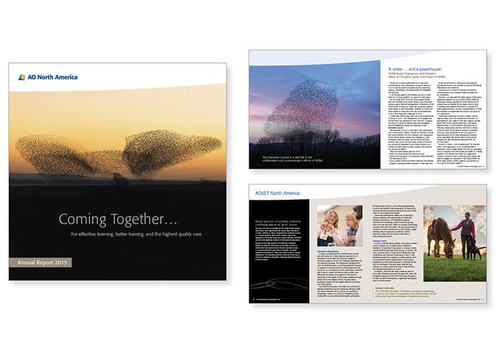 Annual Report 2015