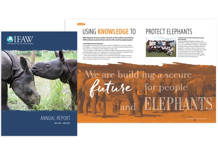 Annual Report 2015