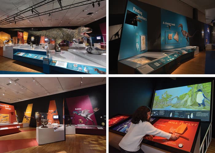 Dinosaurs Among Us Exhibit