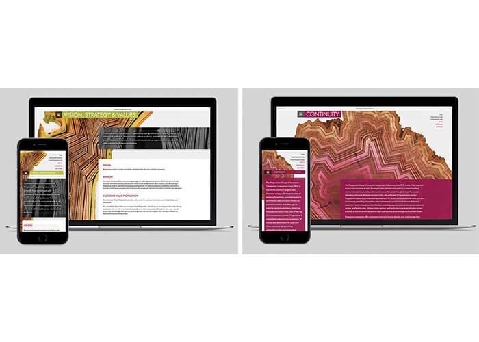 2015 Annual Report Website