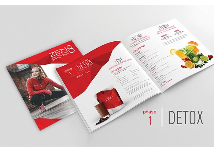 Zen Project 8 Brochure