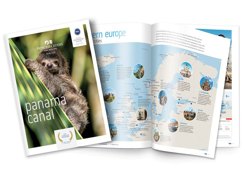Mini Brochure