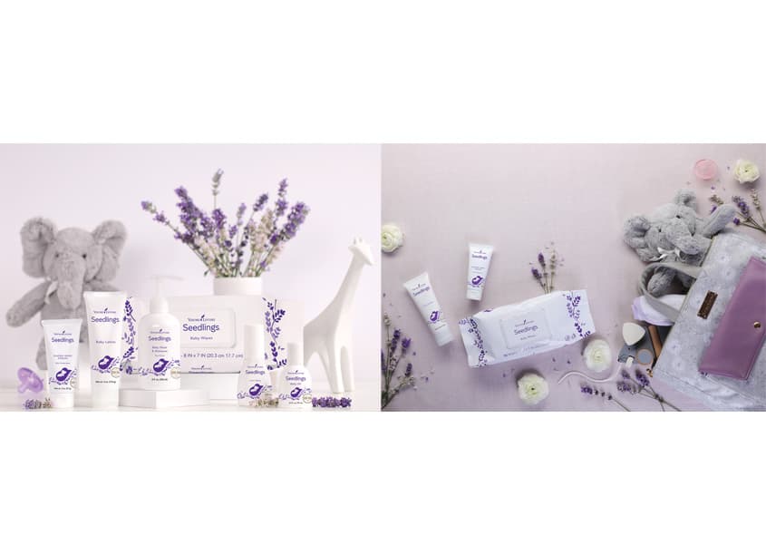 2017 Seedlings Package Design