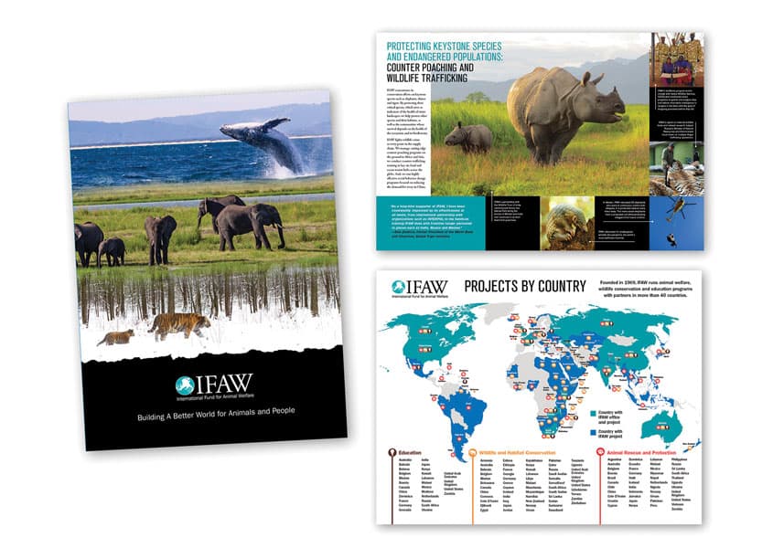 Building a Better World Brochure