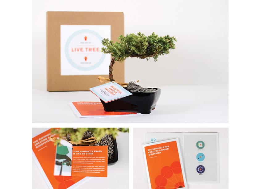 BOLT Bonsai Tree Mailer