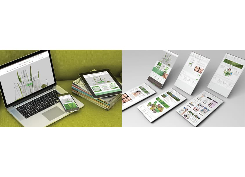 Sustainable Youth Website