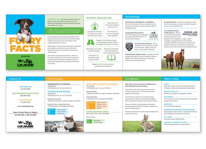 Furry Facts Brochure