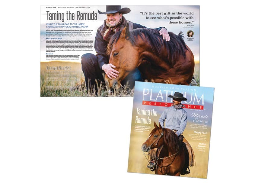 Platinum Magazine, Vol. 8 — Publications & Newsletters design — by HB Design — 2018 GDUSA award winner