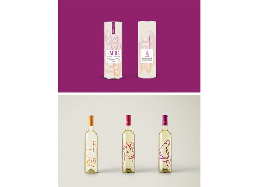 Pacha Branding and Package Design — Student Design — by Shillington School of Graphic Design — 2019 GDUSA award winner