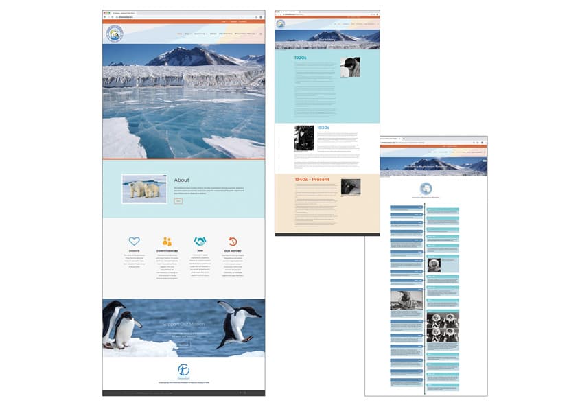 Website Design & Build