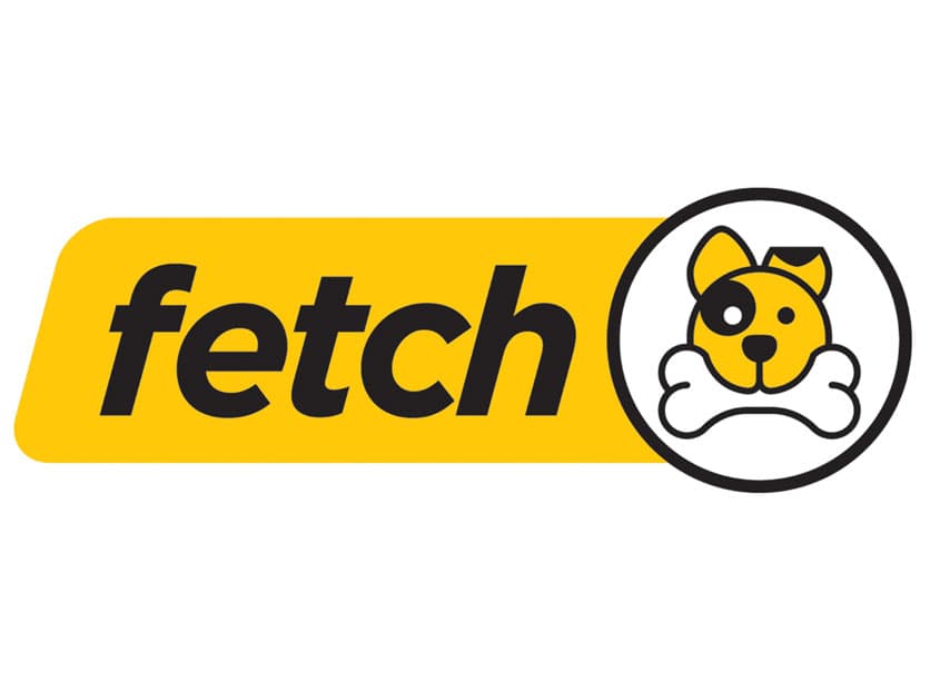 Fetch Logo - Internal IT Search Information — Branding + Identity Programs design — by Stan Gellman Graphic Design — 2019 GDUSA award winner