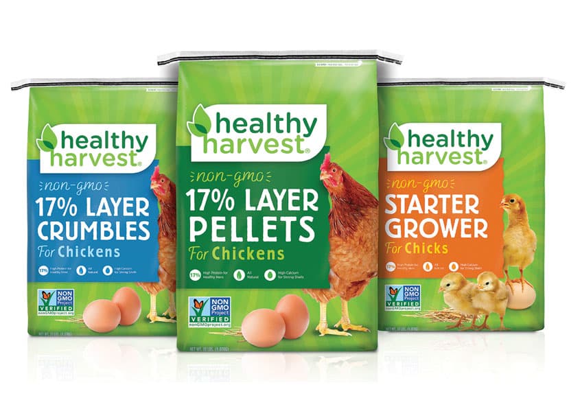 Healthy Harvest Logo and Package Design
