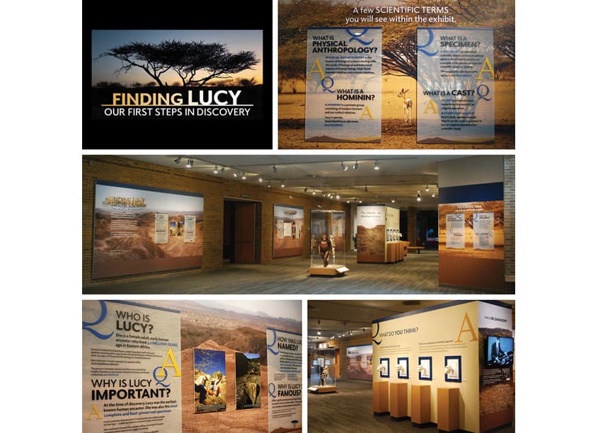 Finding Lucy Exhibit