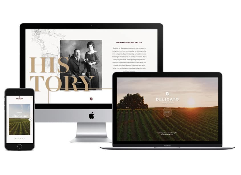 Delicato Family Wines Website — Website & UX/UI Design — by Affinity Creative Group — 2019 GDUSA award winner