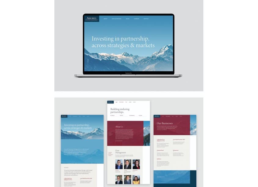 Assured Investment Management Website