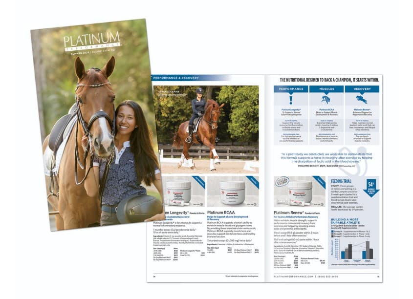 Equine Mini Catalog