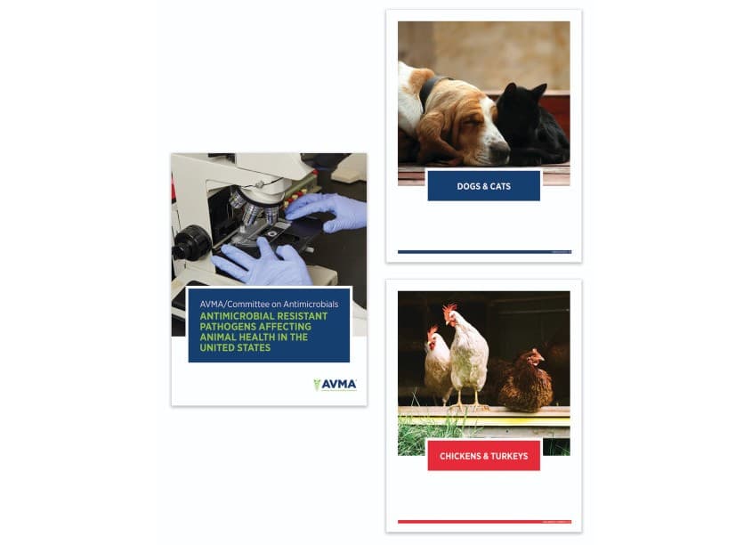 AVMA Antimicrobial Resistance Report
