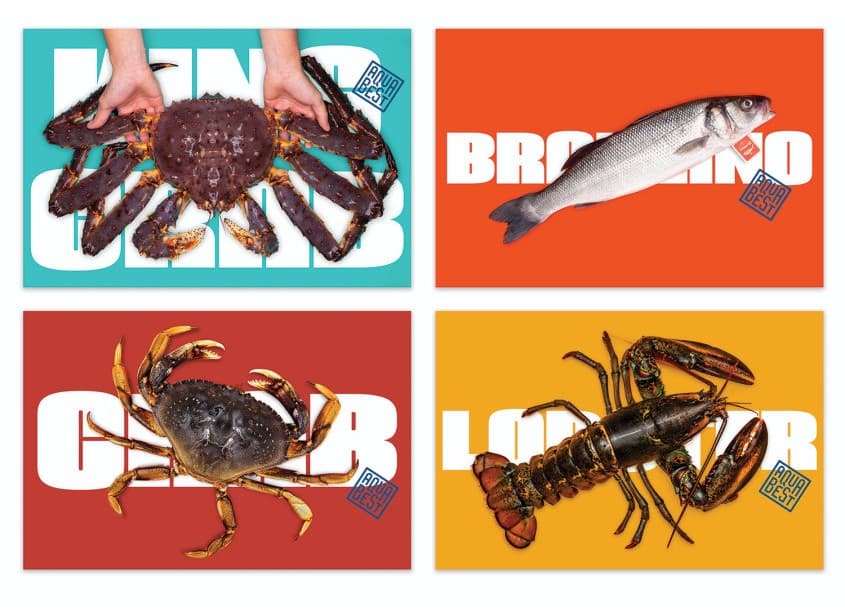 Aqua Best Branding