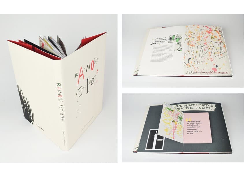 Raymond Pettibon Artist Catalog