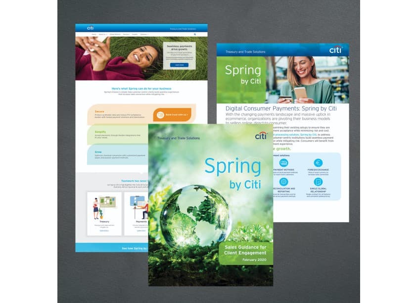 Spring By Citi Campaign