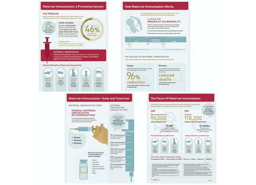 Maternal Immunization Infographic