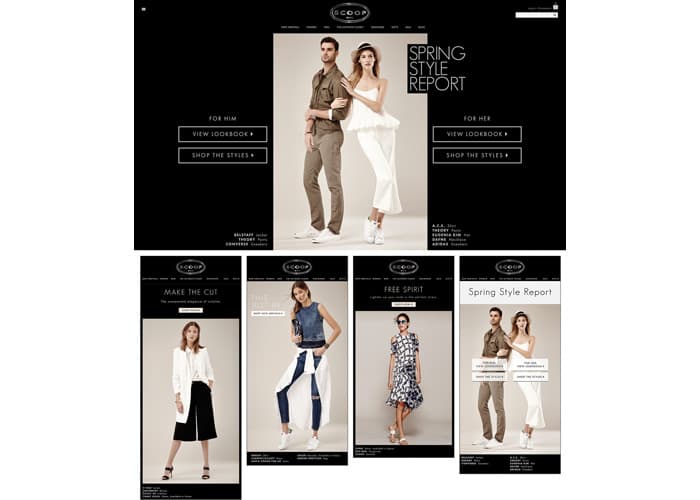Spring 2015 Website, Emails and Lookbook