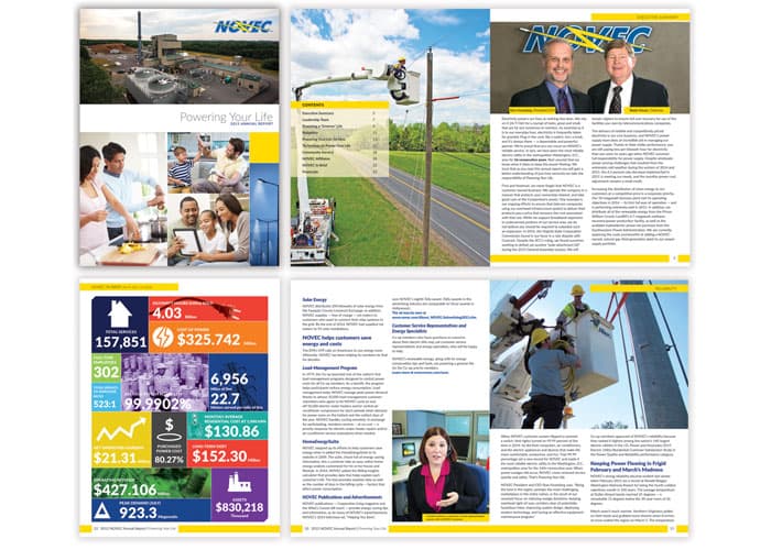 NOVEC 2015 Annual Report