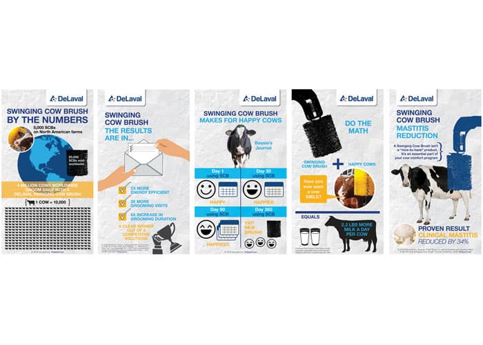 Swinging Cow Brush Campaign