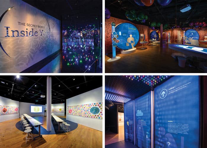The Secret World Inside You Exhibition