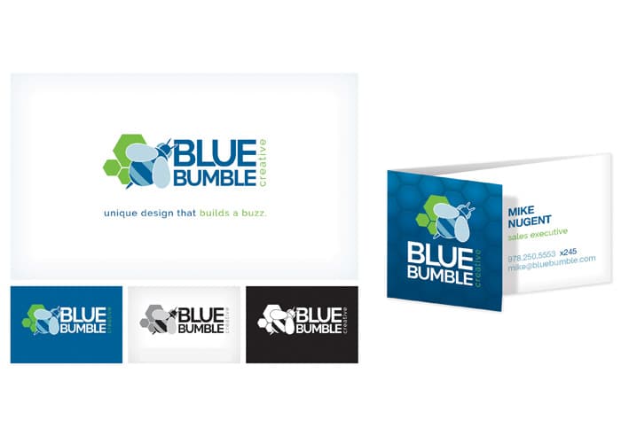 Blue Bumble Creative Rebrand (from DSI Marketing)