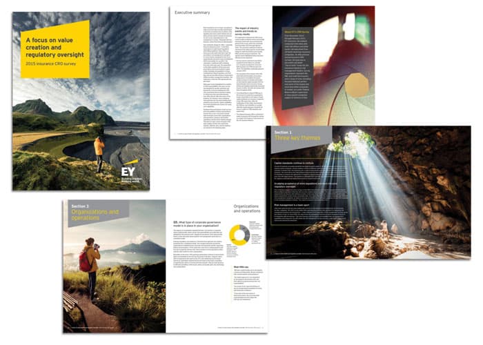 FSO 2015 Insurance CRO Survey