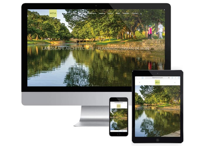 MESA Website Design
